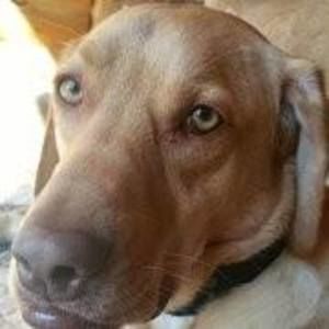 Meet your Posher, Katrina